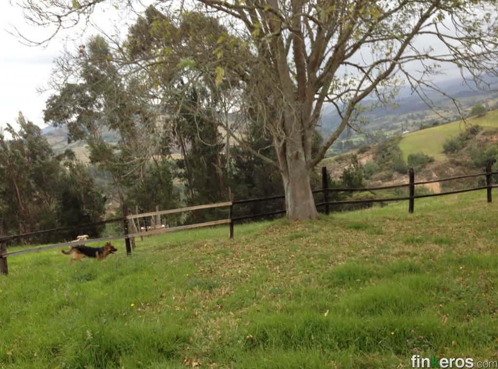 Finca GUASCA - Finca en Guasca, Cundinamarca